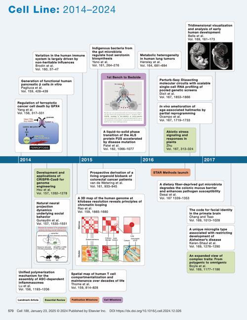 期刊研究时间表示方法有哪些？-图1