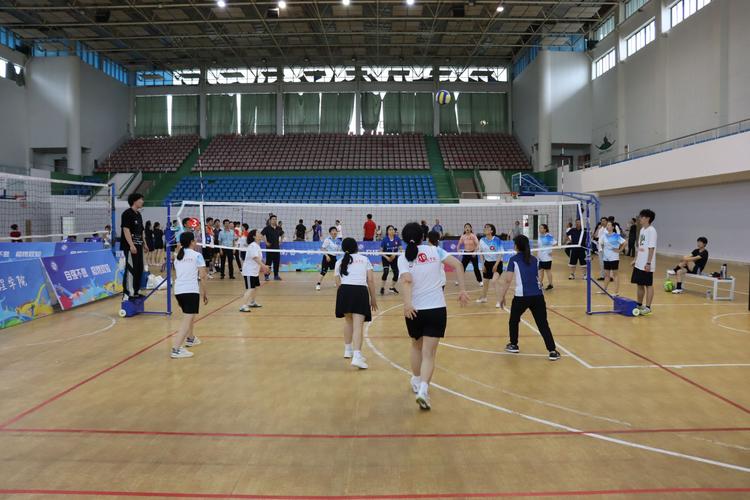 我校排球现状如何?研究聚焦哪些问题?-图1 我校排球现状如何?研究聚焦哪些问题?-图1
