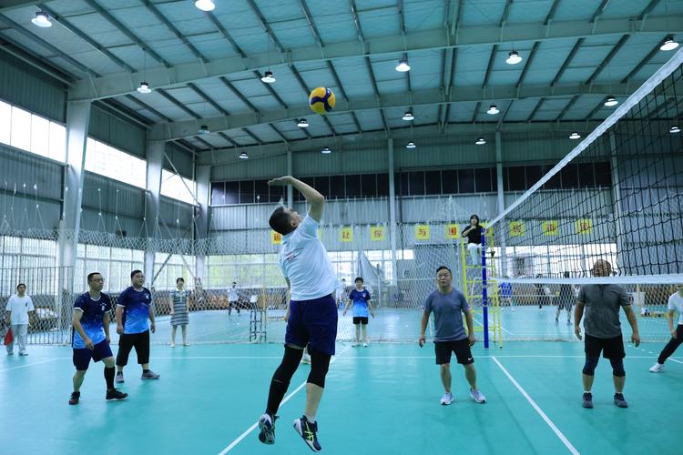 我校排球现状如何?研究聚焦哪些问题?-图2 我校排球现状如何?研究聚焦哪些问题?-图2