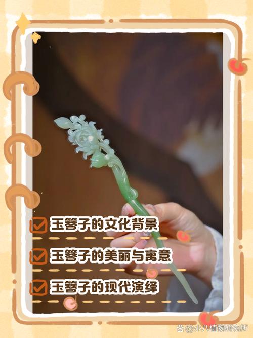 红楼梦配饰文化有何独特内涵？-图1