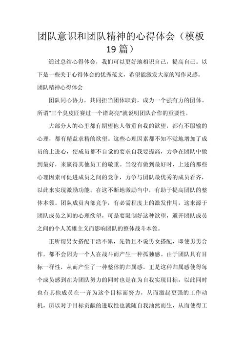 团队精神参考文献有哪些核心观点？-图3