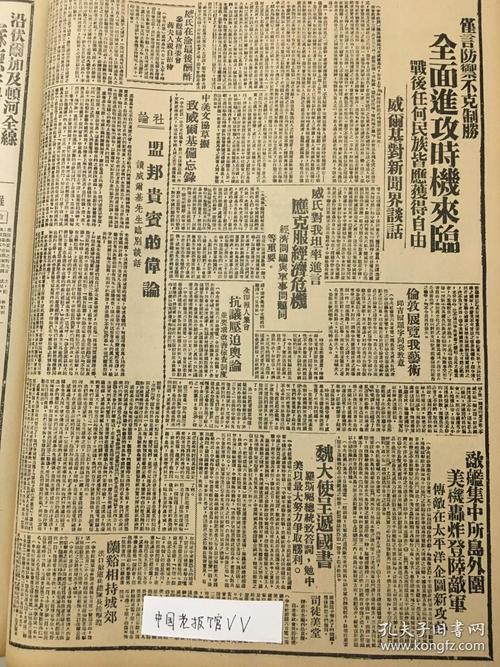 国民党敌后战场参考文献有何独特价值？-图3