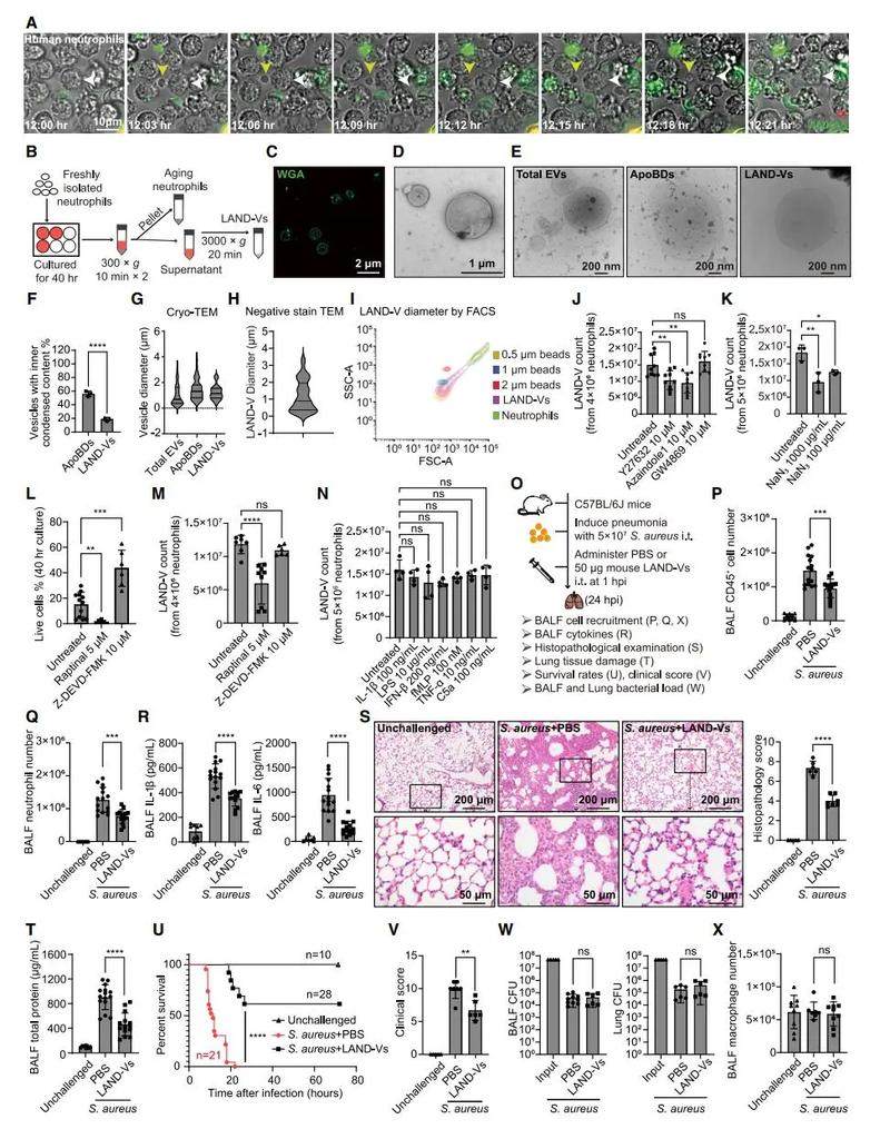 生物热门方向SCI如何高效突破?-图1 生物热门方向SCI如何高效突破?-图1