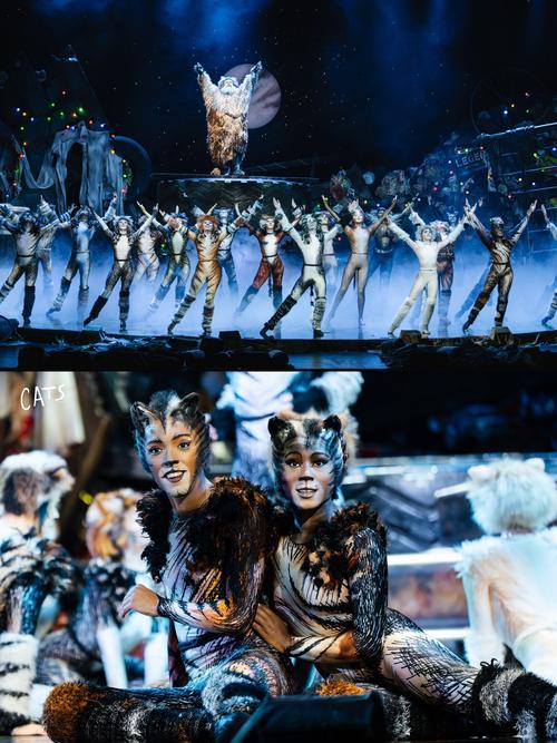 音乐剧猫的参考文献有哪些核心研究?-图1 音乐剧猫的参考文献有哪些核心研究?-图1