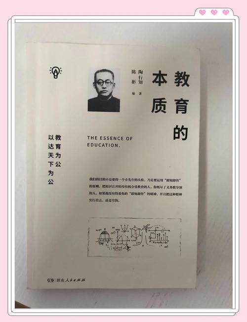 胡森视角下教育公平的核心内涵是什么？-图1