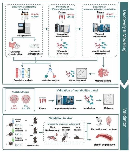 队列研究能同时研究一种疾病吗?-图3 队列研究能同时研究一种疾病吗?-图3
