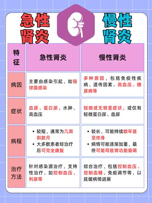 慢性肾炎健康教育,患者该注意哪些关键点?-图2 慢性肾炎健康教育,患者该注意哪些关键点?-图2