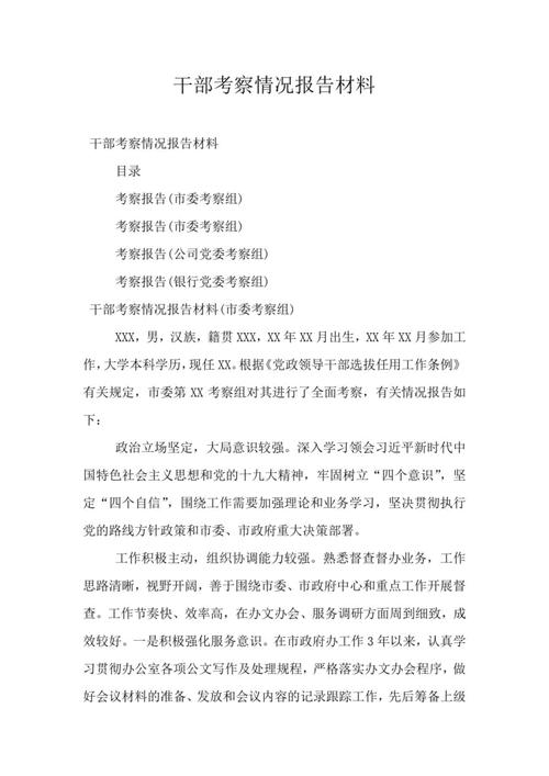 教育人事干部考察材料，如何精准评估干部能力？-图2