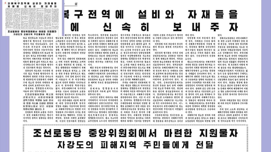 中韩真人秀研究参考文献有何新视角？-图2