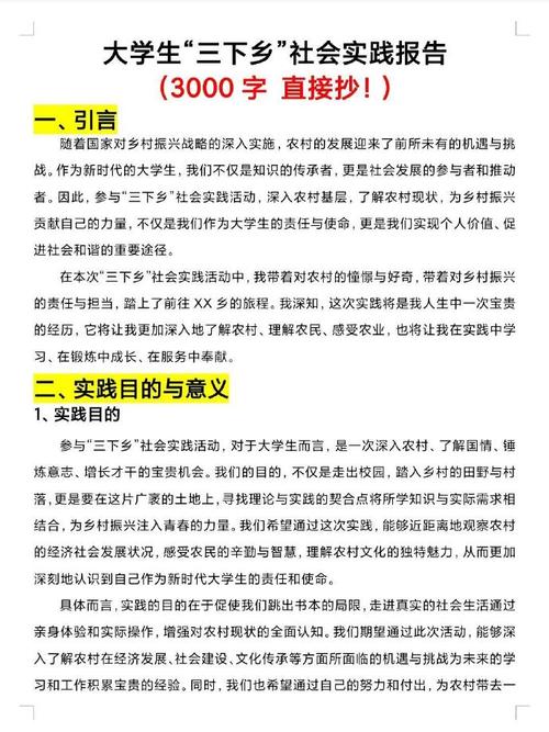 家乡社会实践参考文献有哪些？-图3