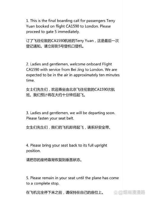 英语航空服务参考文献有哪些核心内容？-图3