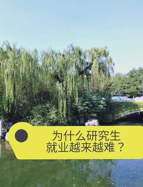 大学生就业问题研究意义-图2