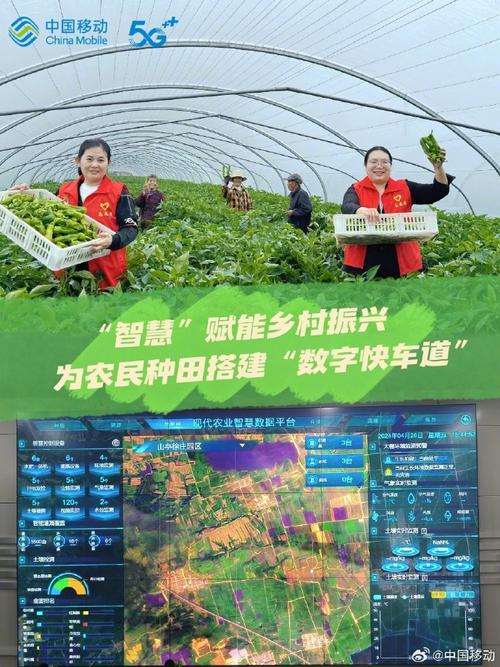 新媒体平台如何赋能农民教育?-图2 新媒体平台如何赋能农民教育?-图2