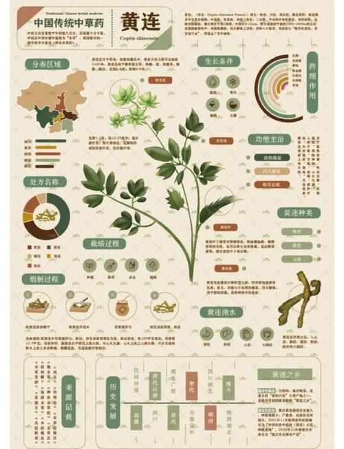 中药药性现代研究进展如何？-图2