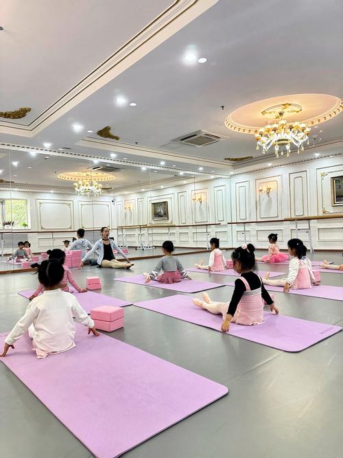 丰舞1教学 教育高清-图1