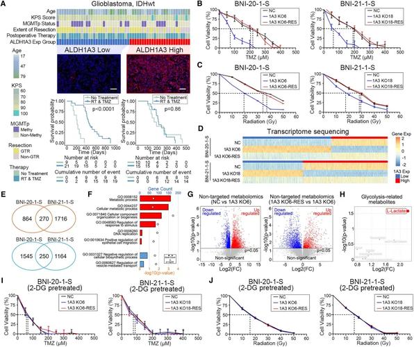 肿瘤的耐药机制研究进展-图3 肿瘤的耐药机制研究进展-图3