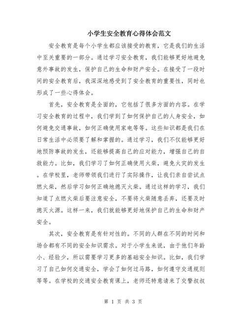 城区小学安全教育论文-图2