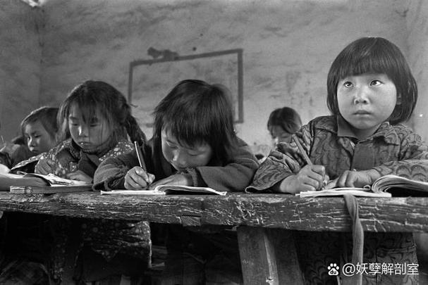 农村基础教育缺乏特色-图1