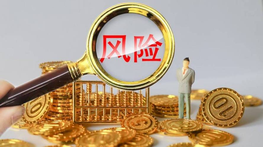 企业财务风险的研究背景-图3