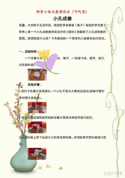 小学科学经验教育论文-图2