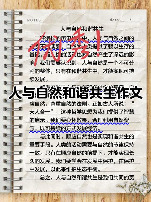 和谐意识教育参考文献-图3