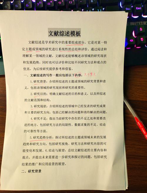 汉语言调研报告参考文献-图2