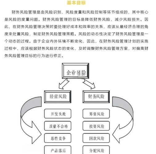 财务风险管理研究成果-图1