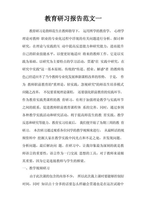 教育模式研究报告范文-图2