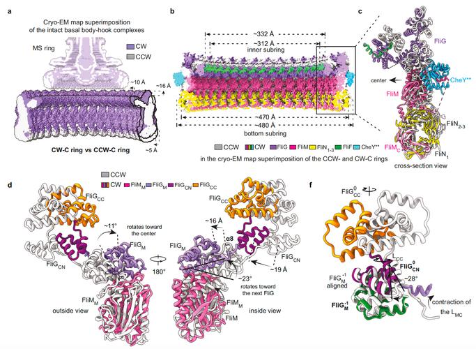 性传播的机制研究论文-图2