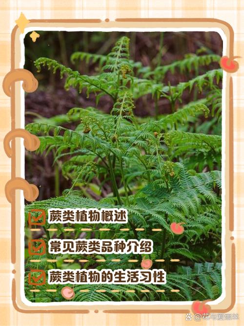 武陵山区蕨类植物研究-图1