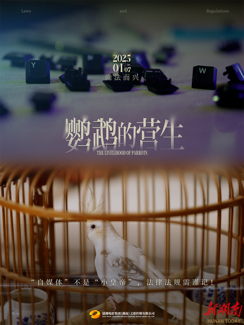 微电影广告的价值研究-图2