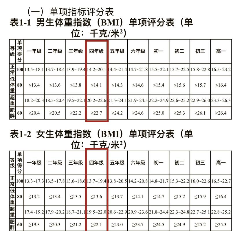 中小学体质报告参考文献有哪些关键来源？-图3