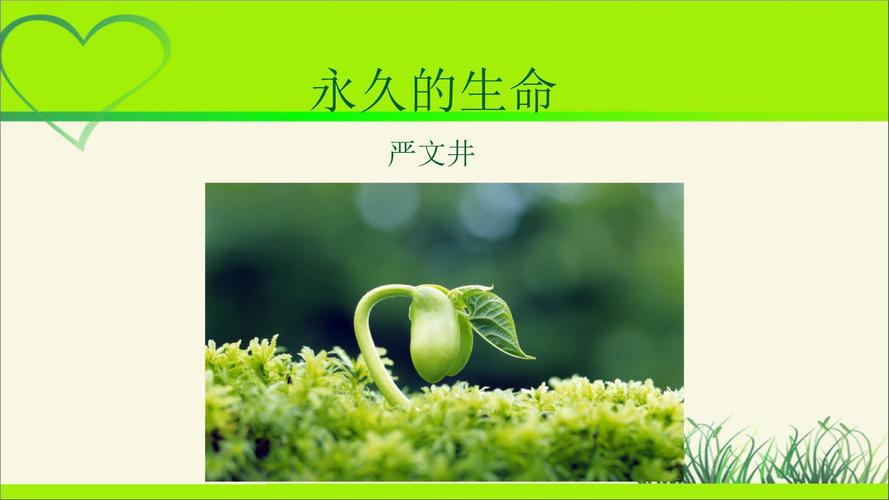 生命教育课PPT课件，该如何设计更有效？-图3