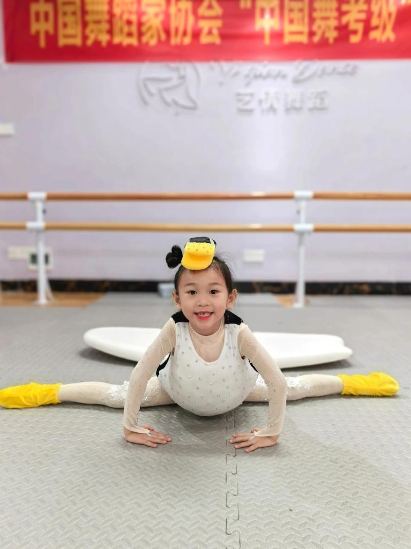 幼儿舞蹈研究,究竟有何价值与意义?-图2 幼儿舞蹈研究,究竟有何价值与意义?-图2