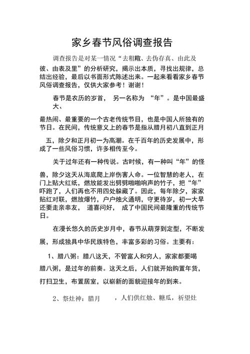 关于过年研究报告范文-图3