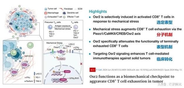 转录因子研究进展，新机制与挑战何在？-图1