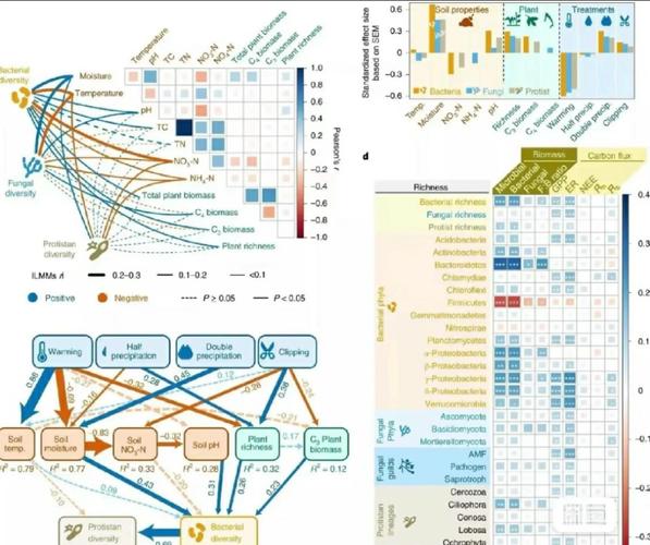 转录因子研究进展，新机制与挑战何在？-图2