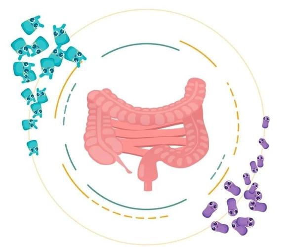 肠道微生态的研究策略-图3