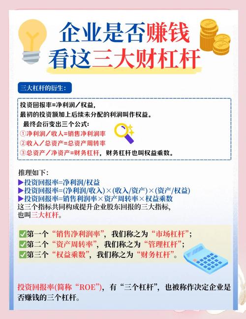 财务杠杆参考文献十二篇-图1