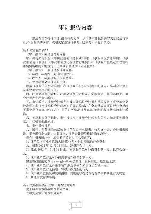 内部审计参考文献有哪些关键方向？-图3