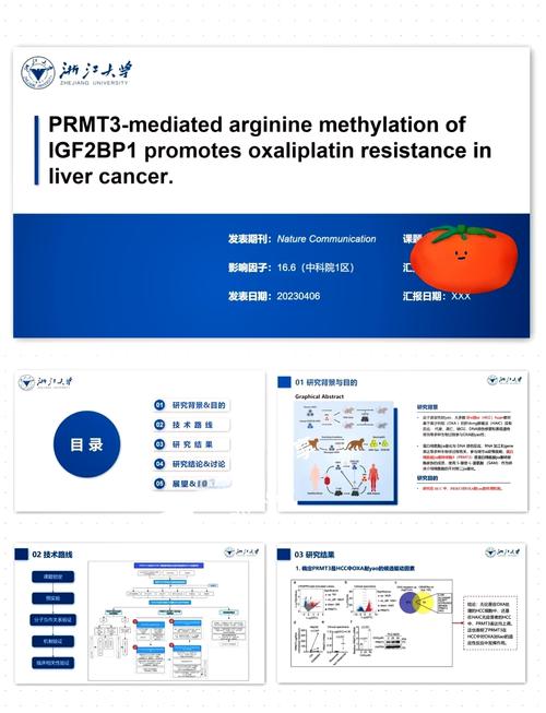 为何要研究标志？其目的与意义何在？-图3