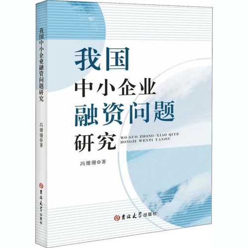 小微企业贷款问题研究-图3