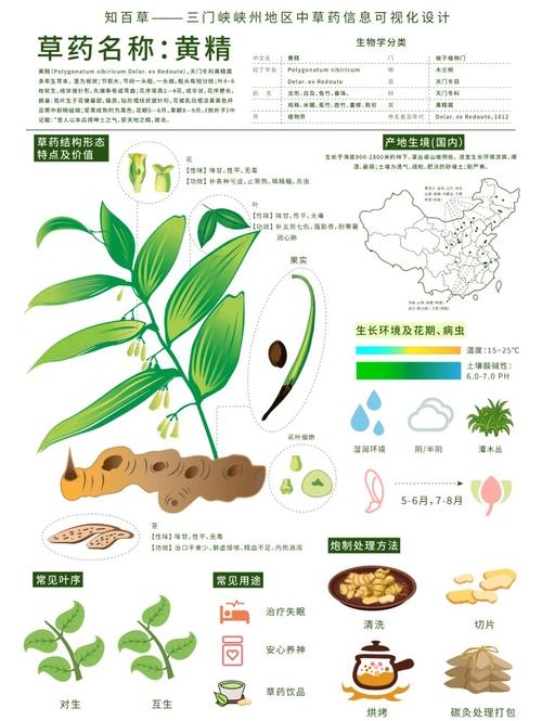 滇黄精栽培论文参考文献有哪些?-图1 滇黄精栽培论文参考文献有哪些?-图1