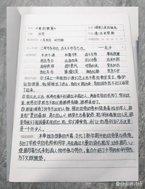 如何用爱浇灌出幸福的成长之花？-图3