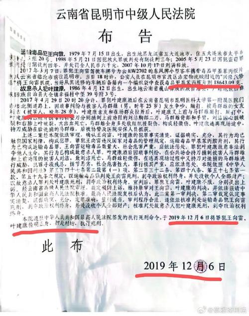 我国的死刑政策参考文献-图1