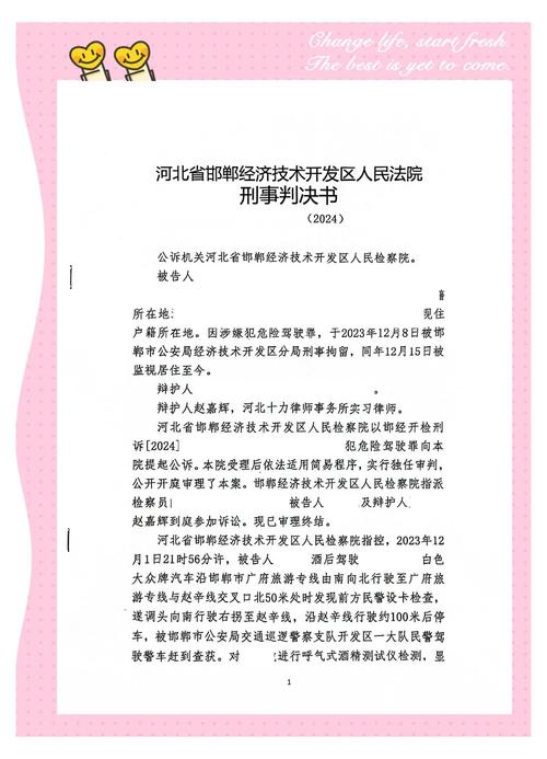 我国的死刑政策参考文献-图3