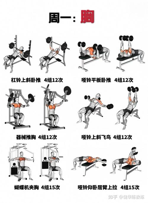 运动训练手段研究过程-图2