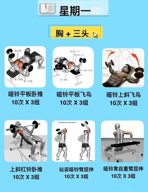 运动训练手段研究过程-图3