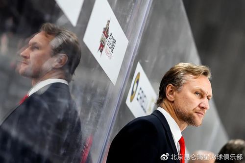 冰球战术的外文参考文献-图2