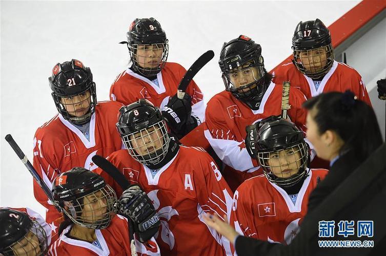 冰球战术的外文参考文献-图3